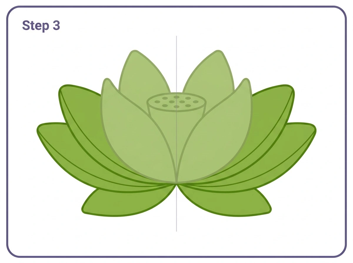 how to draw a lotus flower step 3 middle petals