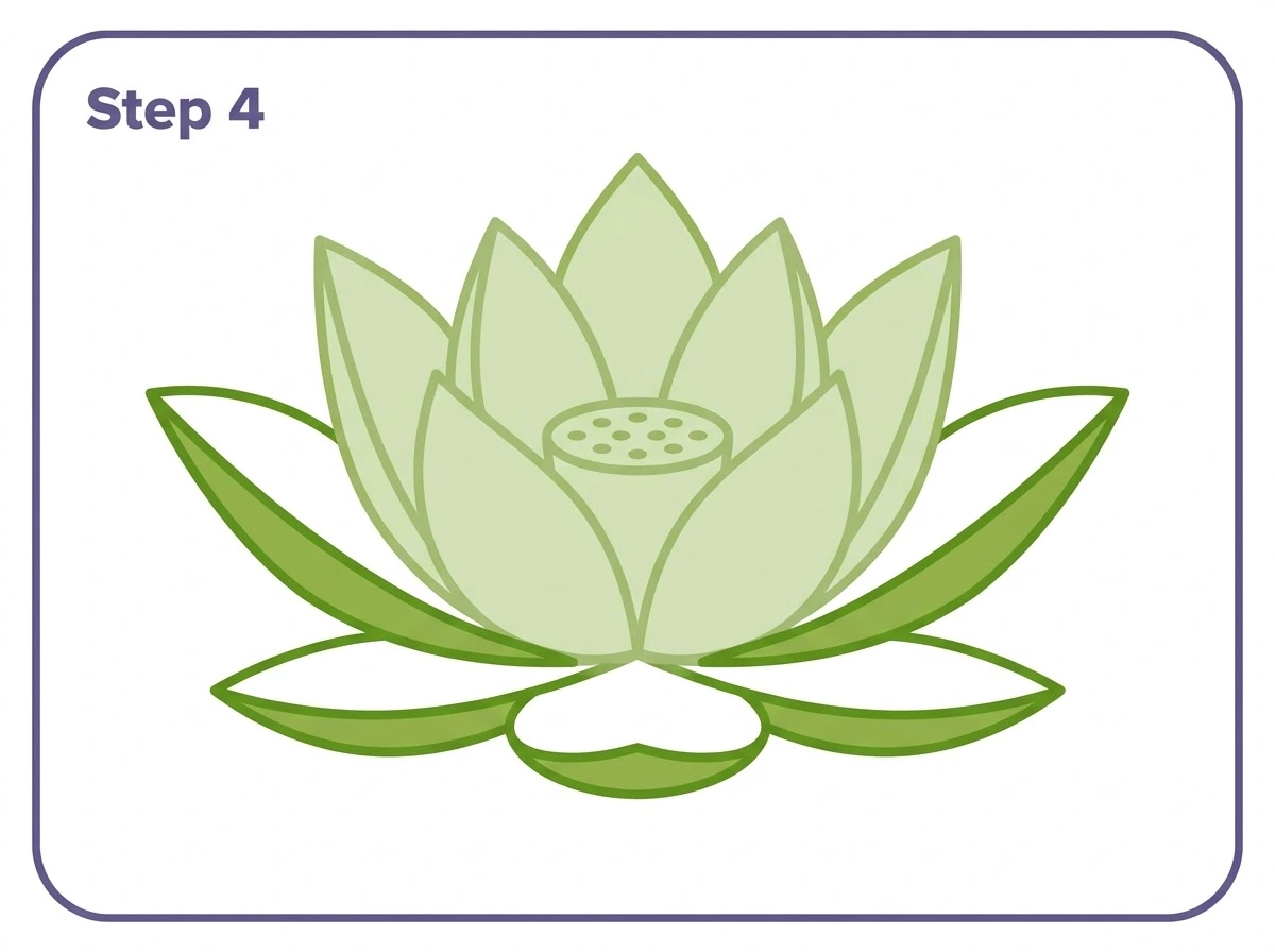 how to draw a lotus flower step 4 outer petals