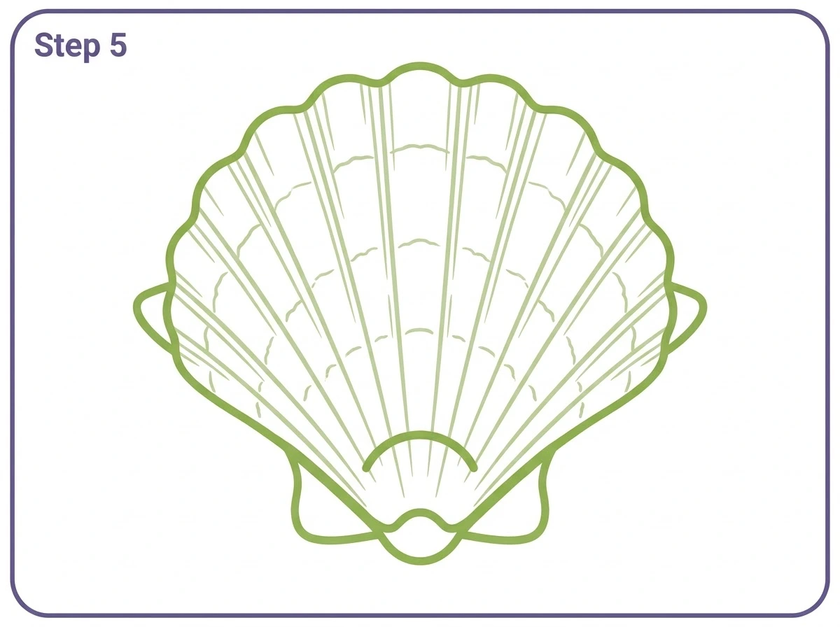 how to draw a sea shell step 5 hinge ears