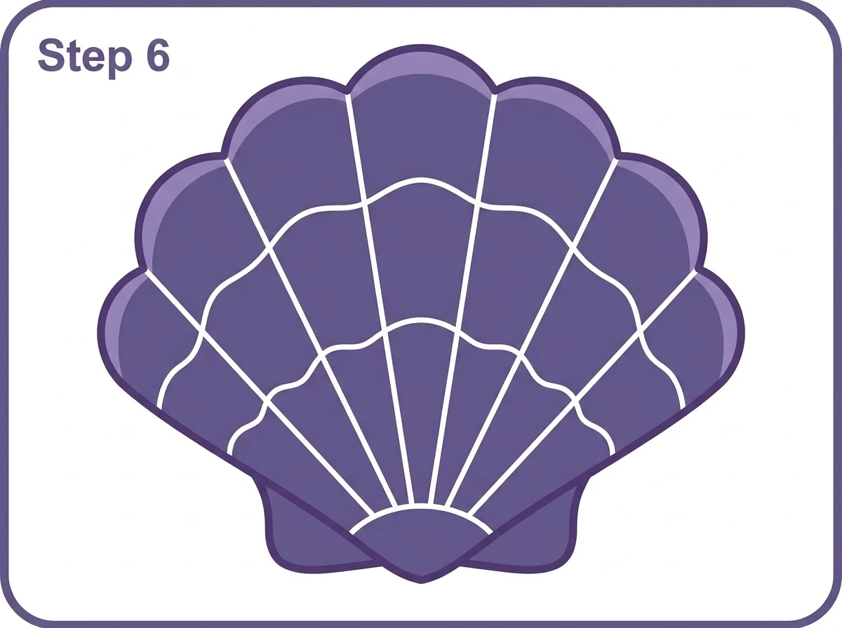 how to draw a sea shell step 6 colored final